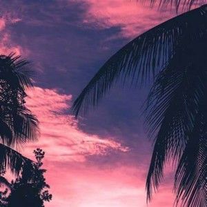 Meet your Posher, Dwight